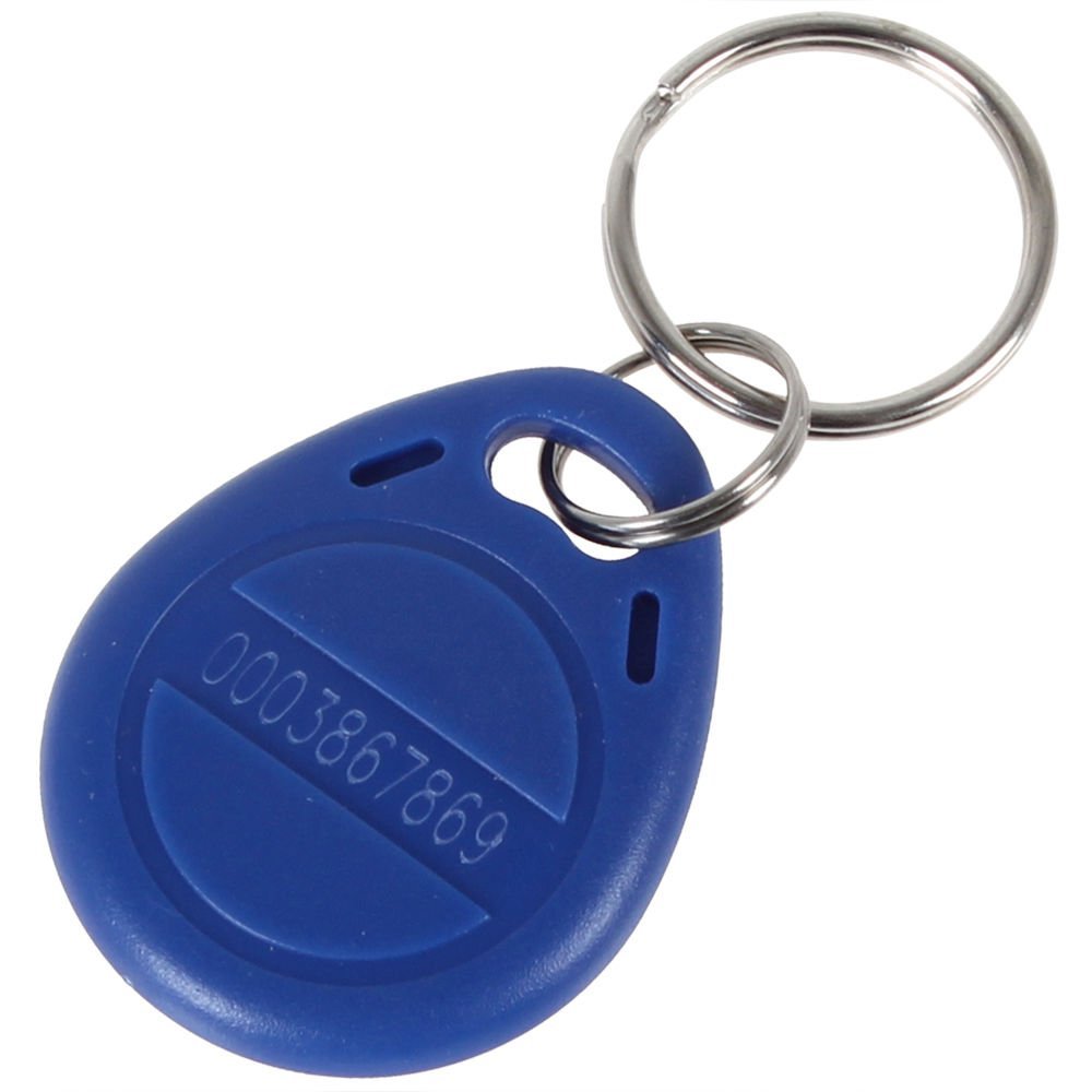 Proximity ABS 125KHZ RFID Keytag/Keyfob/Keychain for Access Control