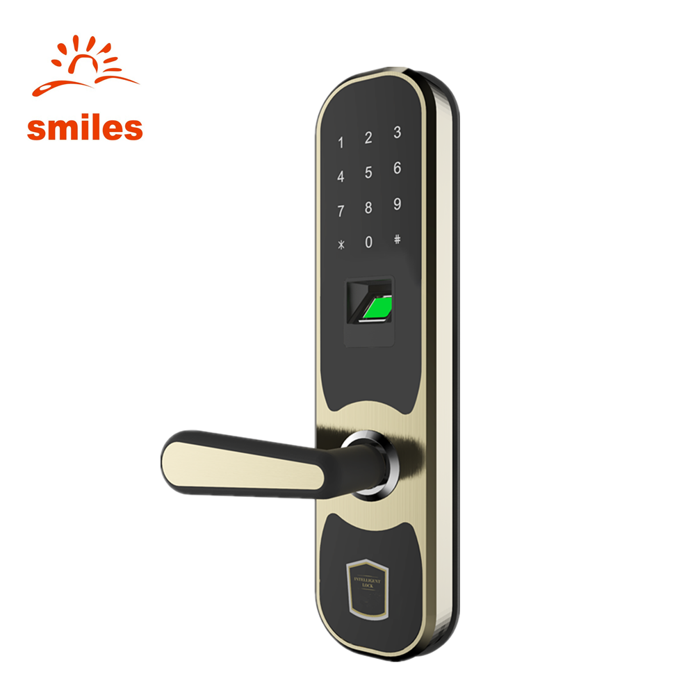 Biometric Fingerprint Keypad Security Door Lock 