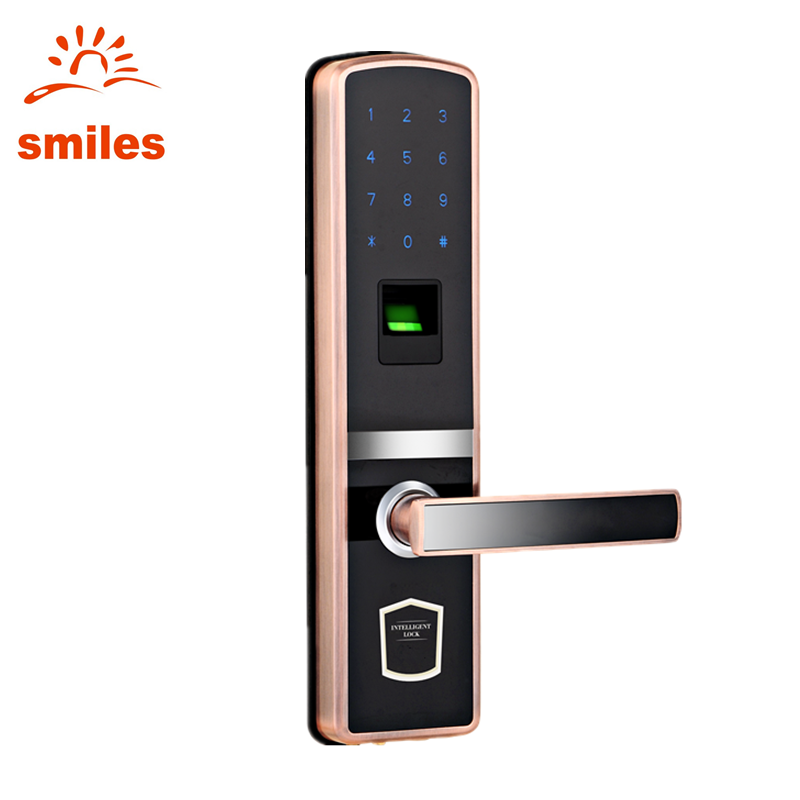 Intelligent Biometric Fingerprint Combination Door Lock For Flat