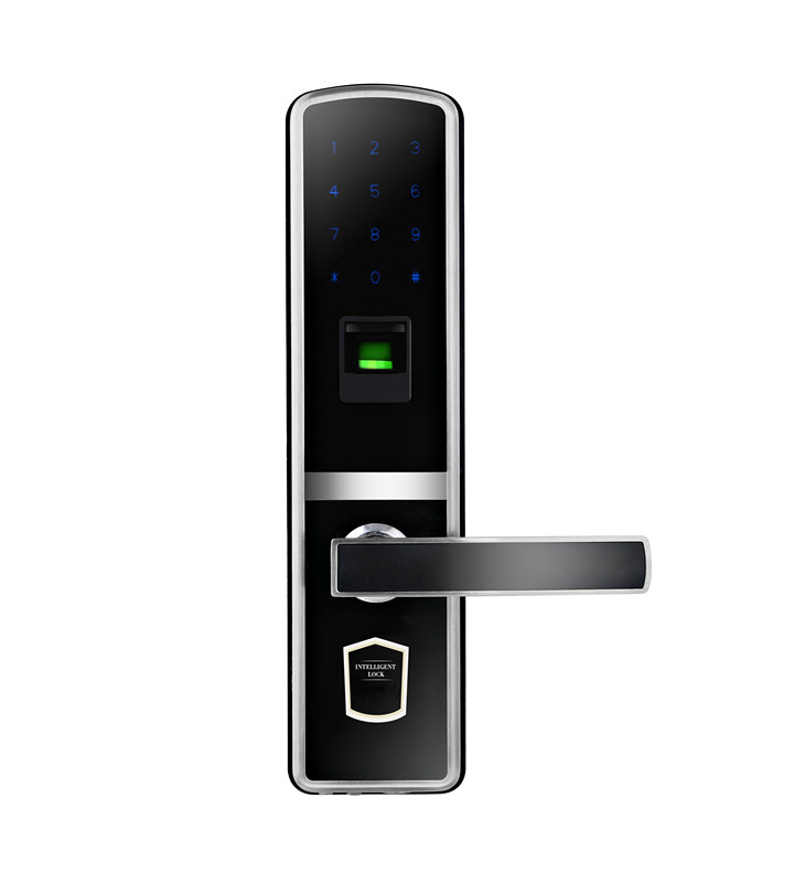 Intelligent Biometric Fingerprint Combination Door Lock For Flat
