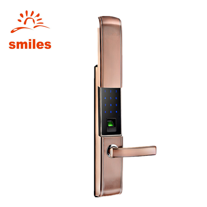 Intelligent Fingerprint Door Lock With Cover 