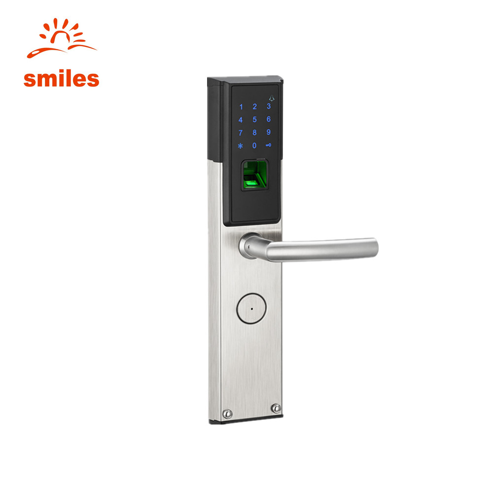 Intelligent Zinc Alloy Keyless Fingerprint Door Locks