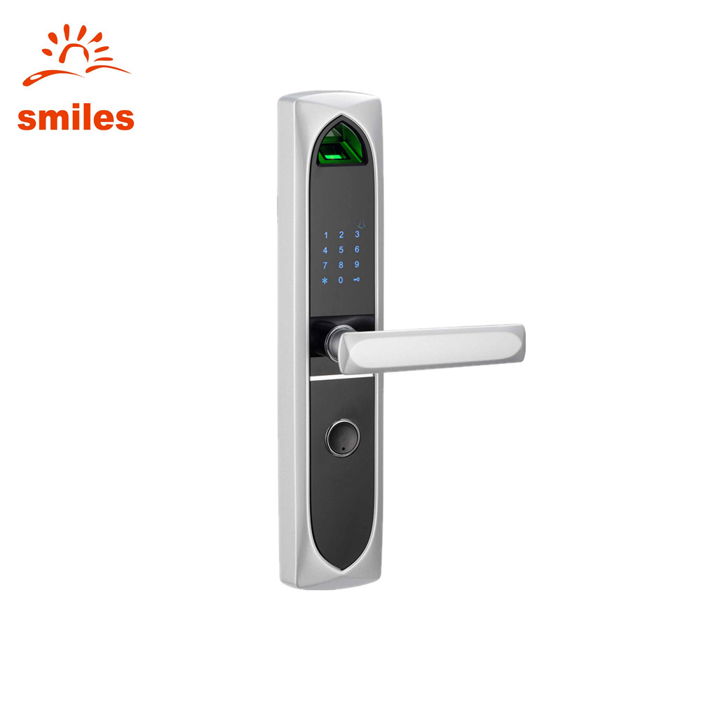 Biometric Fingerprint Keypad Cottage Door Lock 