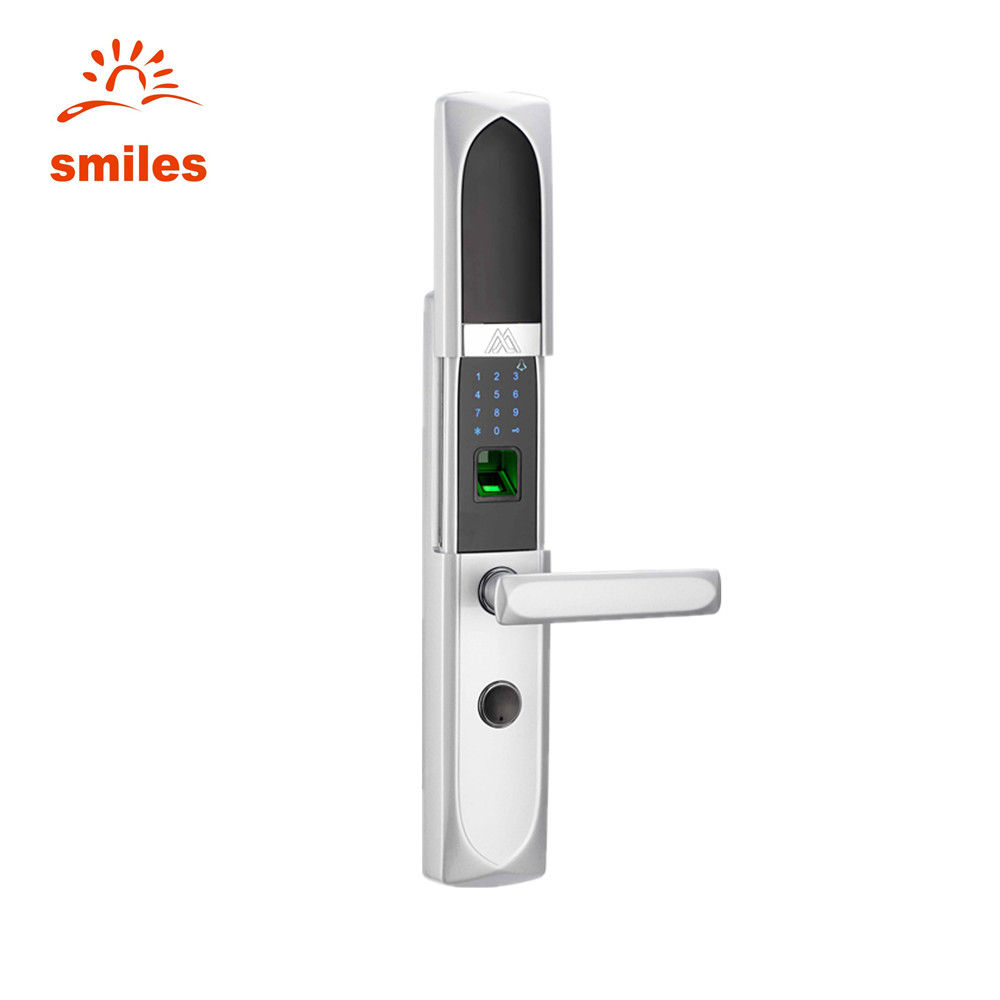 High-Recognition Rate Keyless Fingerprint  Door Lock With Cover