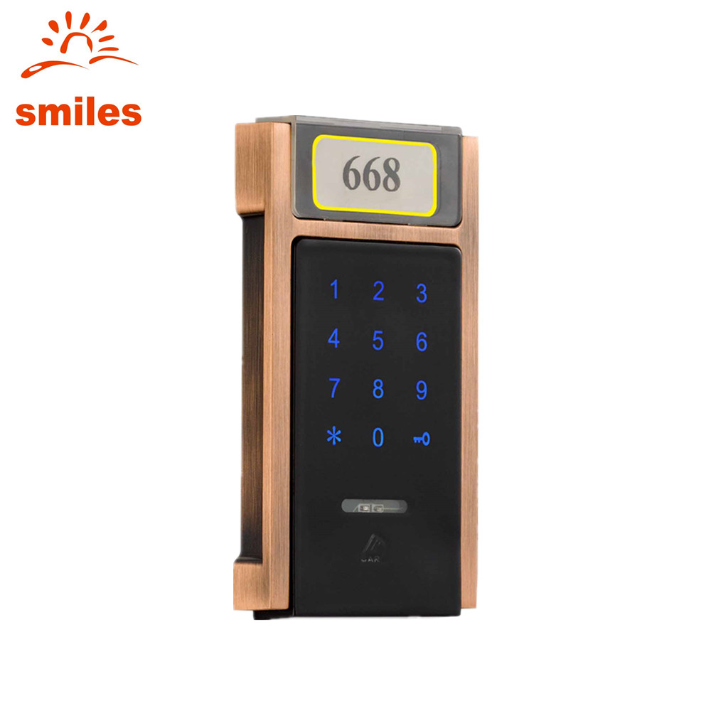 Touchpad Password Locker Lock With RFID Card Reader For Gym