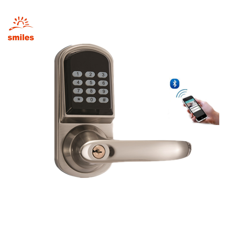 Electronic Keyless Code Door Lock,Unlock With Code, APP And Mechanical Key