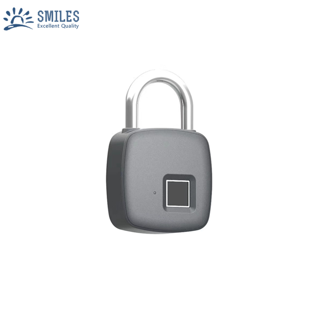 Weatherproof Bluetooth Fingerprint Padlock With App Function For Door, Bag,Luggage, Gym Locker